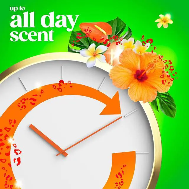 Alt view image 5 of 6 - Gain Laundry Detergent Liquid, Now with Odor Defense, Island Fresh Scent, 81 fl oz, 61 Loads
