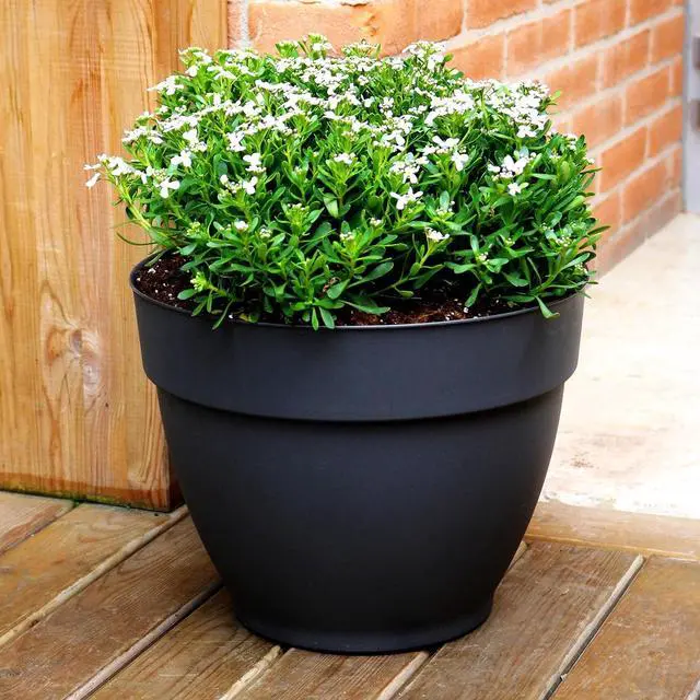 Alt view image 2 of 6 - Jacinto Recycled Plastic Planter, 8 inch Opening Diameter, Black Color