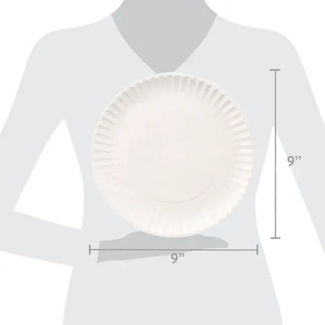 Alt view image 5 of 5 - Great Value Uncoated Paper Plates, 9 in, 300 Count