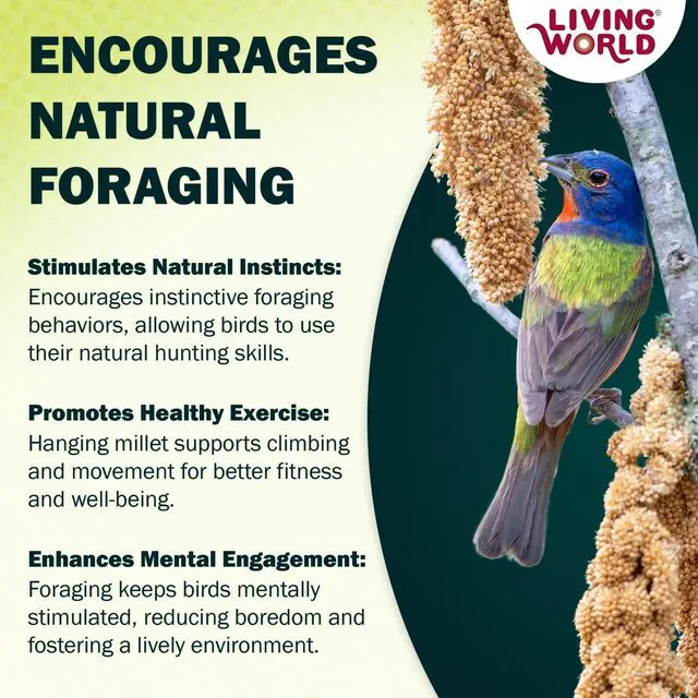 Alt view image 2 of 7 - Living World Millet Spray for Birds, 3.5 Oz