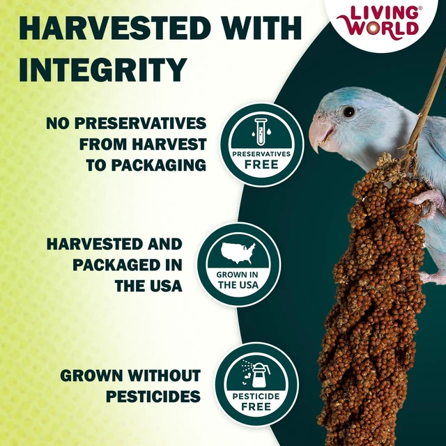 Alt view image 7 of 7 - Living World Millet Spray for Birds, 3.5 Oz
