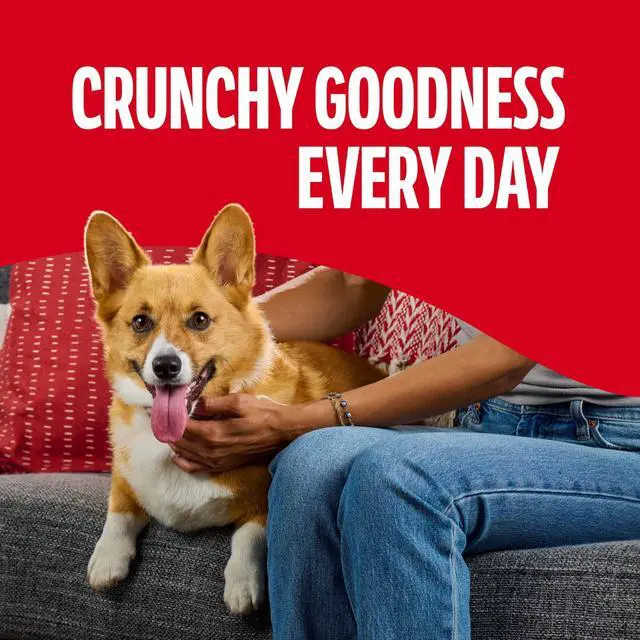 Alt view image 4 of 6 - Milk-Bone Flavor Snacks, Small Dog Treats, 24 Oz