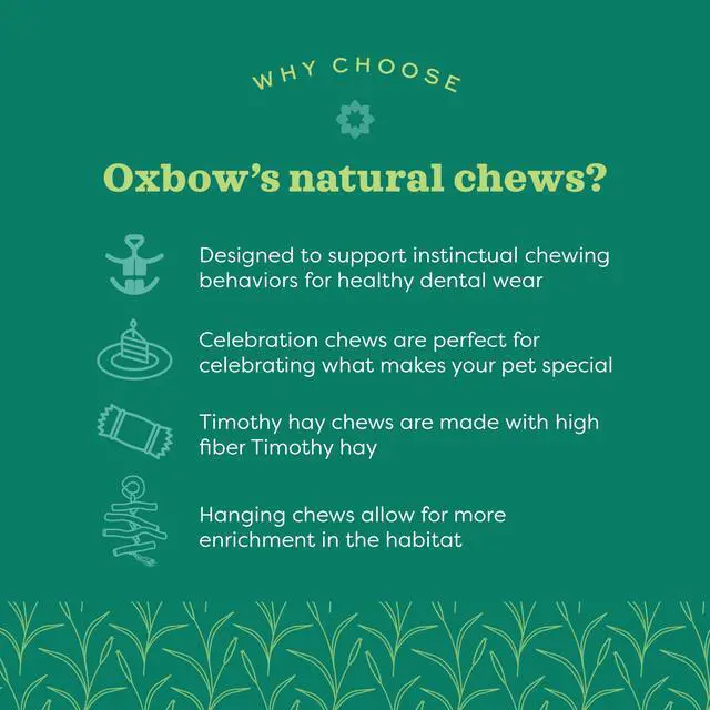 Alt view image 4 of 6 - Oxbow Timothy Hay Mat Medium Edible Rabbit & Guinea Pig Chew Mat