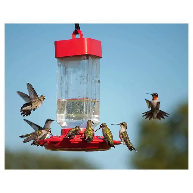 Alt view image 4 of 6 - Kaytee Hummingbird ElectroNectar Wild Bird Food, Ready to Use, 64Ounces