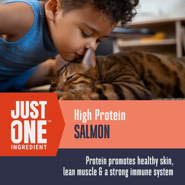 Alt view image 5 of 6 - Whole Life Cat Just One Salmon Freeze Dried Cat Treats, Human Grade, High Protein, USA Made, Natural, 1oz (Pack of 1)