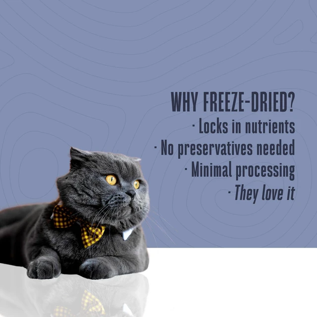 Alt view image 2 of 6 - Whole Life Cat Just One Salmon Freeze Dried Cat Treats, Human Grade, High Protein, USA Made, Natural, 1oz (Pack of 1)
