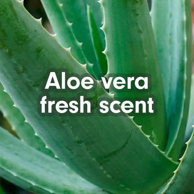 Alt view image 5 of 6 - Softsoap Moisturizing Liquid Hand Soap Soothing Clean Aloe Vera, 7.5Fl Oz (Pack of 6)