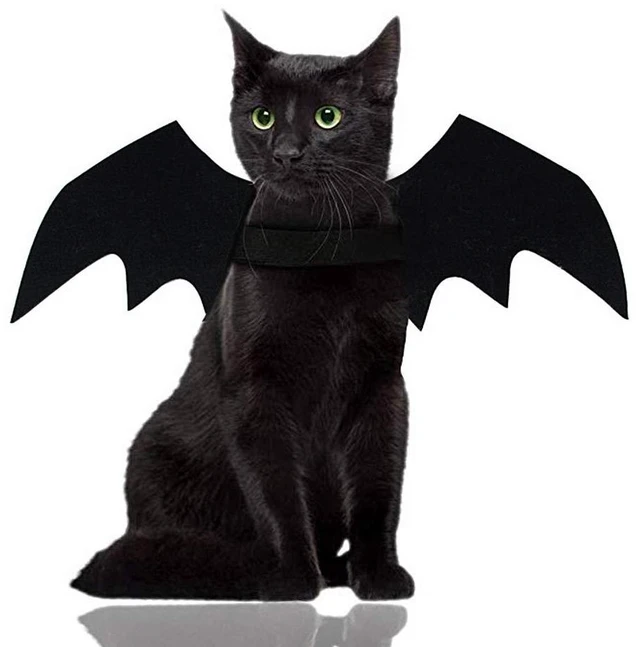 Main image of Malier Cat Dog Bat Costume Wings for Halloween Pets