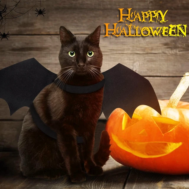 Alt view image 5 of 6 - Malier Cat Dog Bat Costume Wings for Halloween Pets