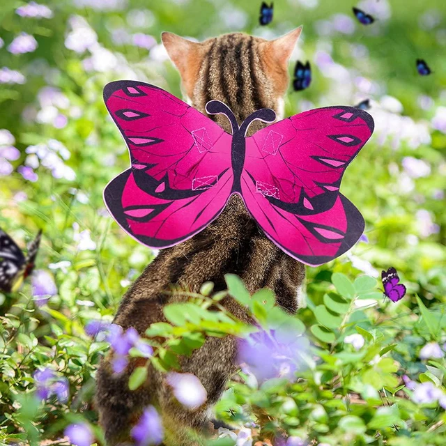 Alt view image 5 of 6 - Butterfly Wings Dog Costume For Dogs And Cats - Halloween Costume For Small Medium Dogs, Puppy Clothes Outfit Party Christmas Cosplay Accessories