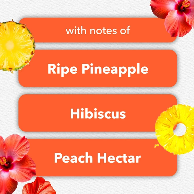 Alt view image 6 of 6 - Glade PlugIns Air Freshener Refills, Hawaiian Breeze, 1.34 Fl Oz, 2 Count