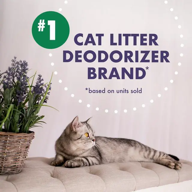 Alt view image 5 of 6 - Arm & Hammer Forever Fresh Cat Litter Deodorizer, 42.6oz, Pet-Friendly Lavender Scent