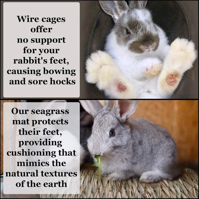 Alt view image 2 of 4 - SunGrow Rabbit Grass Mat, Handmade Edible Bunny Cage Accessory, 1pc