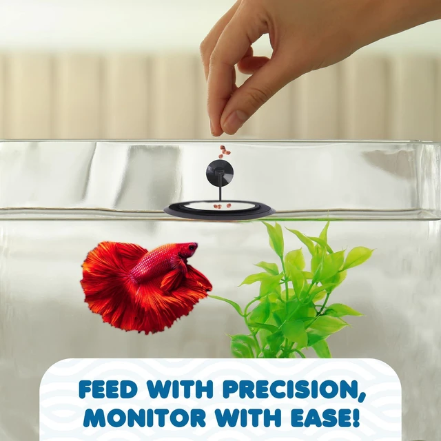 Alt view image 4 of 6 - SunGrow Betta Feeding Ring (1 Pc) - Prevents Water Turbulence, Suitable for Guppy, Goldfish and Other Small Fish