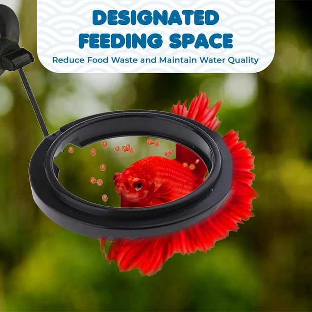 Alt view image 3 of 6 - SunGrow Betta Feeding Ring (1 Pc) - Prevents Water Turbulence, Suitable for Guppy, Goldfish and Other Small Fish