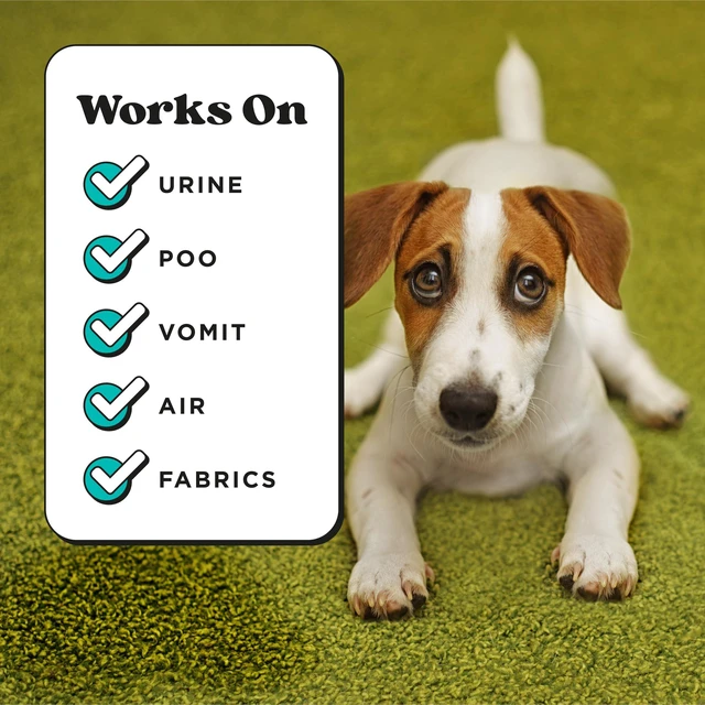 Alt view image 4 of 7 - Pet-Pourri Pocket Deodorizer Spray, Pawsitively Fresh, 1Fl Oz