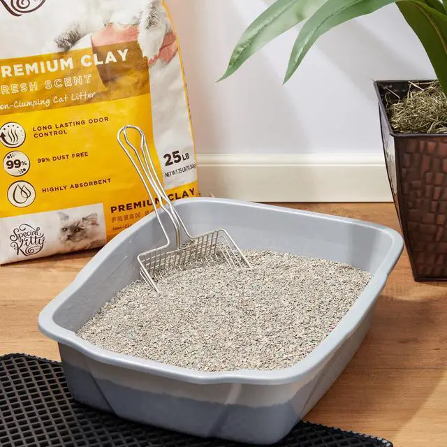 Alt view image 6 of 7 - Special Kitty NonClumping Clay Cat Litter, Fresh Scent, Odor Control, 25 lb Bag, 1Count