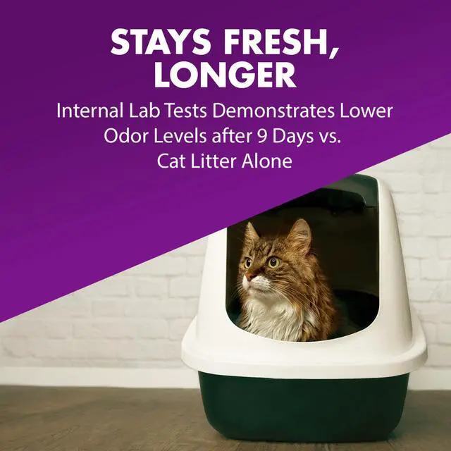 Alt view image 4 of 6 - ARM & HAMMER Double Duty Cat Litter Deodorizer & Pet Odor Eliminator, 33 oz Box