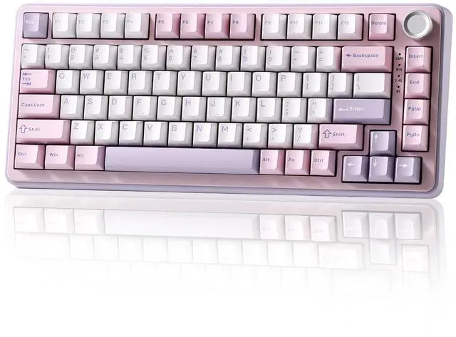 Main image of B75 PRO Wireless Mechanical Keyboard,75% Layout with Knob,Hot Swap Gasket Custom Structure,Creamy Pre-lubed Switches,RGB Backlit,Bluetooth/Type-C/2.4G for Win/Mac(Cocoa Cream V2 Switch,Purple)