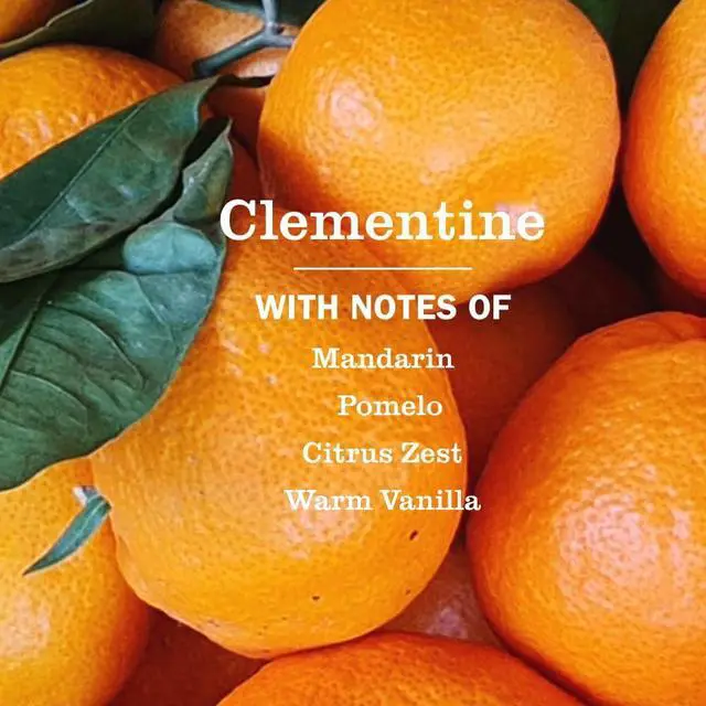 Alt view image 6 of 6 - MRS. MEYER'S CLEAN DAY Hand Soap, Clementine Scent, 12.5 Fl Oz Bottle