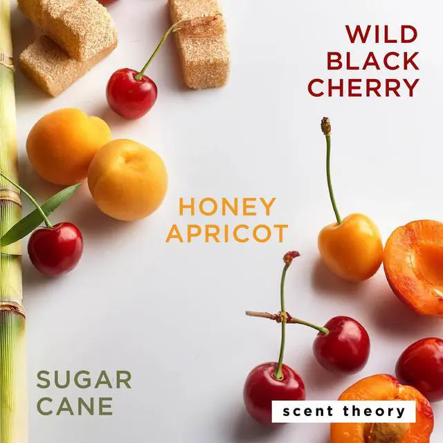 Alt view image 3 of 6 - (2 pack) Scent Theory Foaming Hand Soap, Wild Black Cherry, 11 fl oz