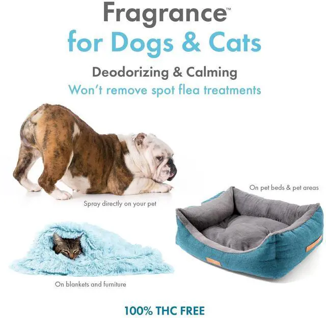 Alt view image 2 of 5 - Jeffers Cologne with Coat Conditioner for Dogs & Cats, 16 oz, Vanilla Bean