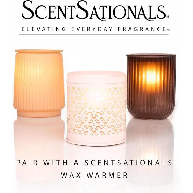 Alt view image 6 of 6 - (2 pack) Watermelon Sugar Scented Wax Melts, ScentSationals, 2.5 oz