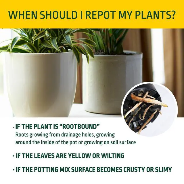 Alt view image 6 of 6 - Expert Gardener Potting Mix for Potted Plants, 1 Cu. Ft., Indoor and Outdoor Soil