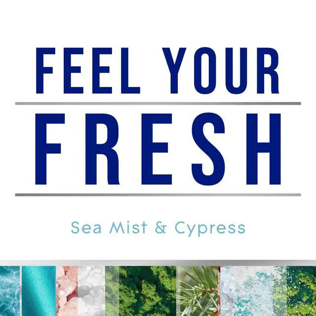 Alt view image 6 of 6 - Glade Automatic Spray Air Freshener Refills, Sea Mist & Cypress, Fresh Collection, 6.2 oz