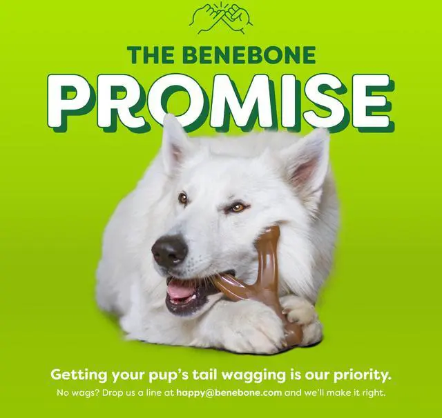 Alt view image 2 of 6 - Benebone Essentials Wishbone Bacon M/L