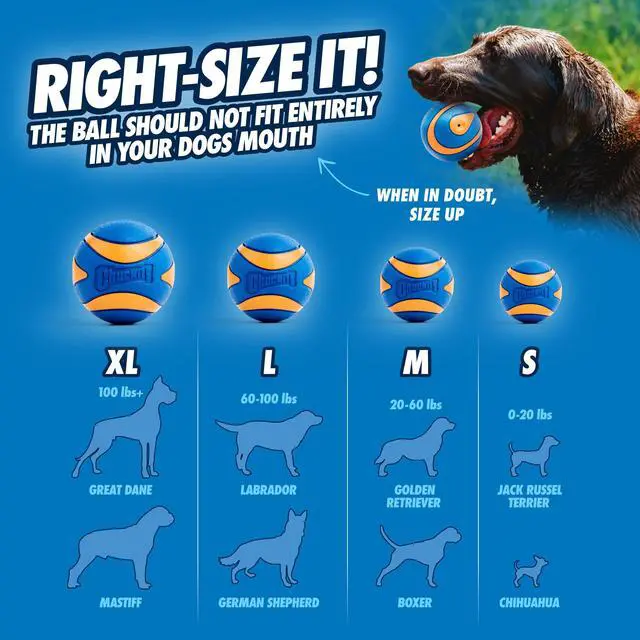 Alt view image 4 of 6 - Chuckit! Sonic Ultra Squeaker Ball & Super Crunch Ball Fetch Dog Toy, Medium 2.5" for Dogs 20 to 60 lb, Blue, Pack of 2
