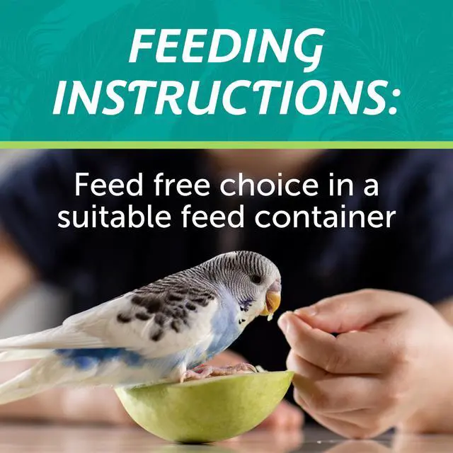 Alt view image 4 of 7 - Pennington Small Breed Everyday Blend Dry Bird Food, for Parakeets, Canaries and Finches; 3 lb. Bag