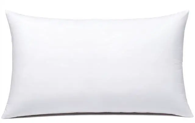 Main image of JIEITIVE Throw Pillow Inserts Hypoallergenic Premium Pillow Stuffer Rectangle Lumbar Pillow for Decorative Pillow Covers Cushion Set of 1-12 x 20 Inches