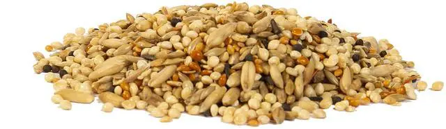 Alt view image 5 of 7 - Wild Harvest Healthy Benefits Molting Supplement for All Birds 7.5 oz