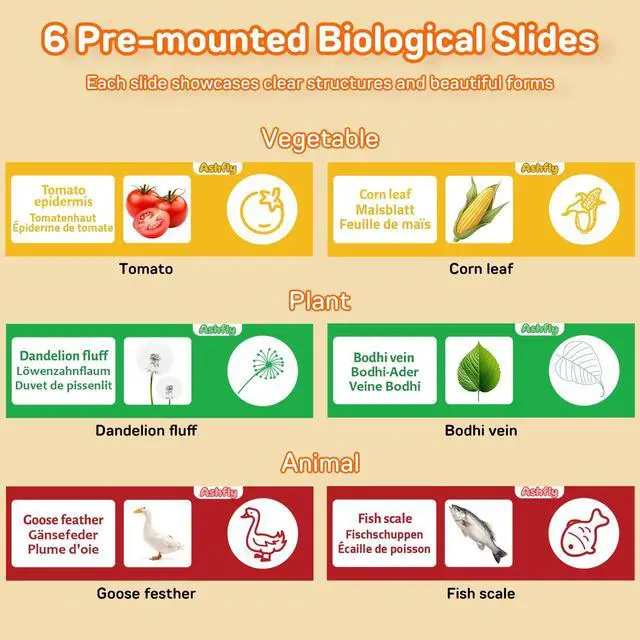 Alt view image 7 of 7 - Kids Magnifying Glass Digital Handheld Microscope for Kids Cool Gadgets Stuff, Toys Portable STEM Science Lab Gifts, Magnifier for Coin Collection Supplies, Black