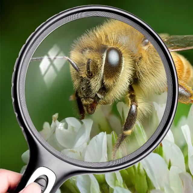 Alt view image 5 of 7 - Lighted Magnifying Glass Handheld10X / 25X Large Magnifying Glass with LightLed Magnifiers for Seniors,Reading Books, Medicine Bottle Small Font