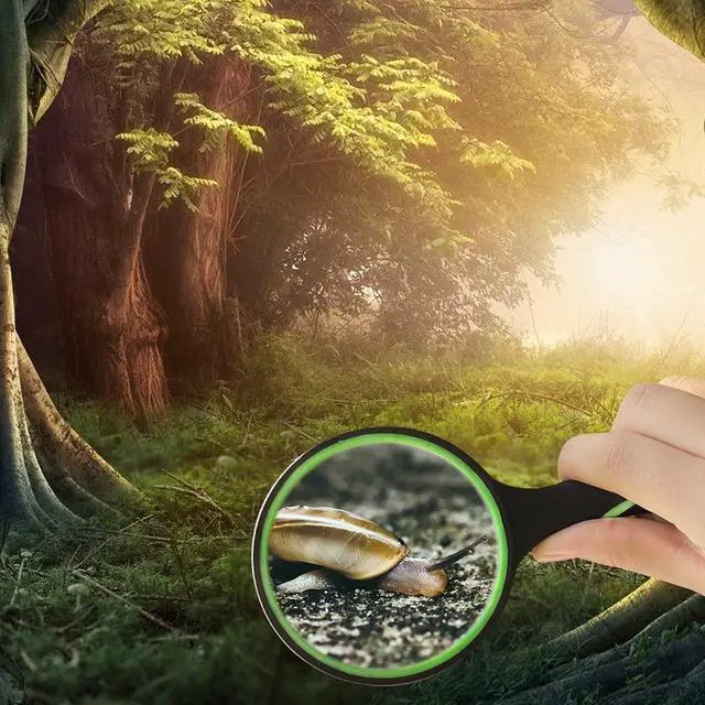 Alt view image 5 of 7 - 10X Shatterproof Magnifying Glass 10X Large Handheld Magnifying Glass for Seniors Kids 75mm Magnifying Lens with Non-Slip Rubber Handle Magnifier Glass for Reading Science Insect Hobby Observation