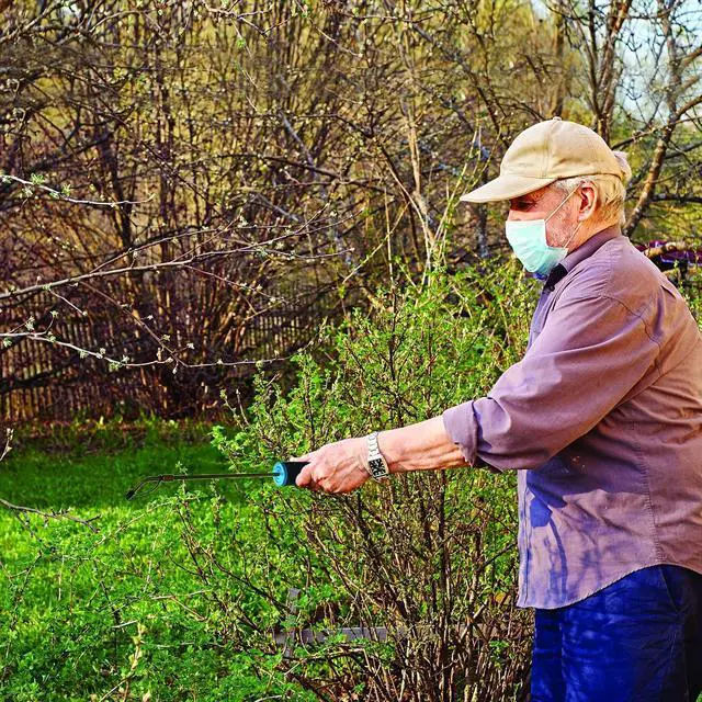 Alt view image 6 of 7 - Ivation Bulb Duster Sprayer Handheld, 7" Extendable Applicator for Earth & Other Home Powder Applications Non-Toxic, All-Natural Small