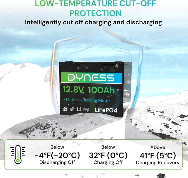 Alt view image 6 of 7 - Dyness 12V 100Ah Mini LiFePO4 Battery 2 Pack Group 24, 12 Volt Deep Cycle Lithium Battery with 100A BMS, Low-Temp Protection & 10 Years Lifespan for RV, Boat, Trolling Motor, Solar Off-Grid
