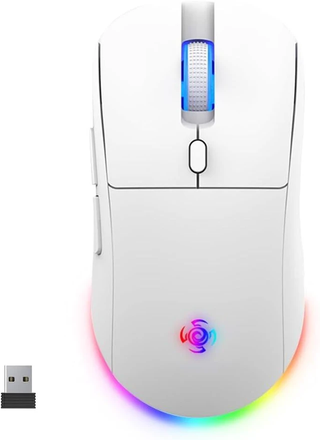 Main image of Wireless Gaming Mouse, Wireless/Wired 1K Polling, Symmetrical, PAW3311, 24K, Ergonomic Gamer Mouse, 6 Macro Buttons, 800mAh Battery, Rechargeable Computer Mouse for Laptop, PC, Mac