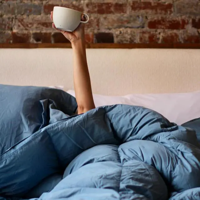 Alt view image 6 of 6 - Coma Inducer Dupe of Down Oversized King Comforter Set - Blue Heaven