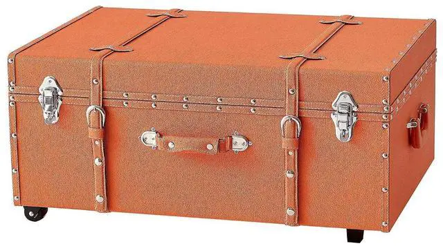 Main image of Texture Brand Trunk - Orange - Large