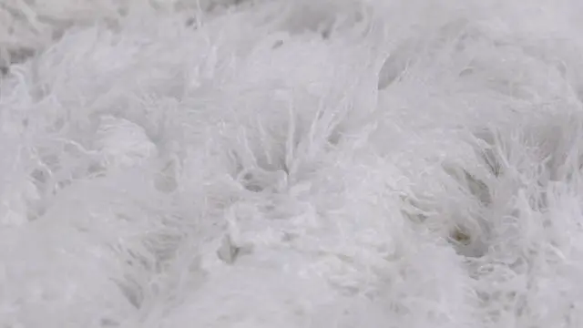 Alt view image 2 of 2 - The Bare Himalayan Yeti - Coma Inducer Standard Sham - Pure White