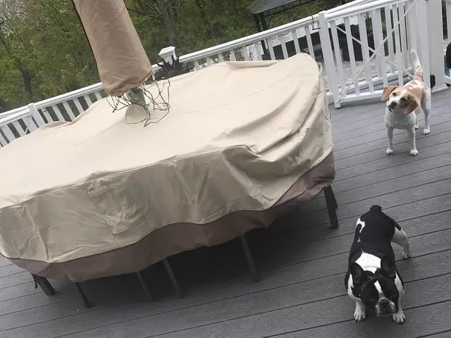 Alt view image 6 of 7 - Patio Table Chair Set Cover with Umbrella Hole Round Waterproof Bathtub Cover Water-Resistant Outdoor Furniture Cover Oval Veranda Garden Table Covers (94x23.6in)