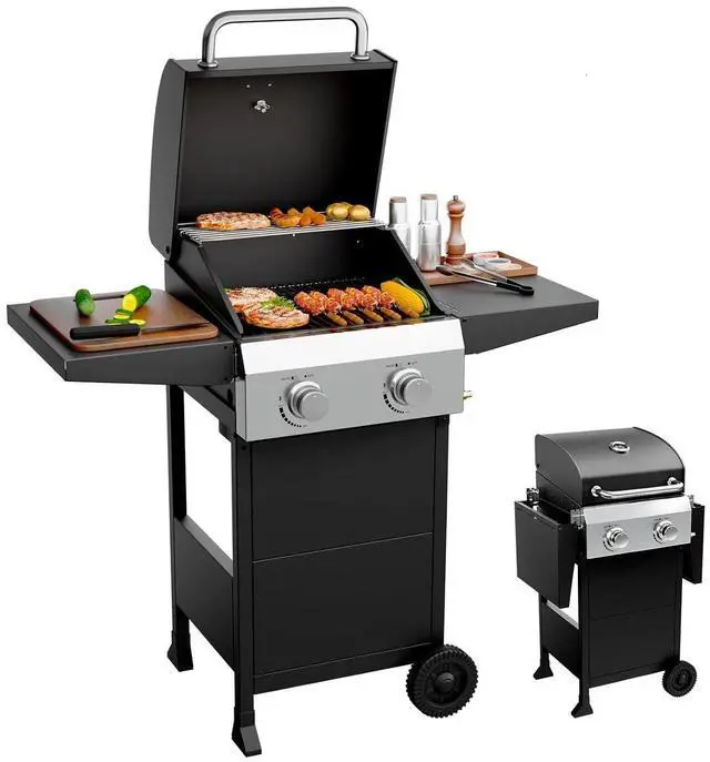 Main image of 2 Burners Portable Gas Grill with Enameled Cast Iron Grates, Powerful 24,000 BTU Propane Grill with Side Shelf & Bottom Cabinet, Outdoor Grill with Wheels for Patio Backyard Garden BBQ Use