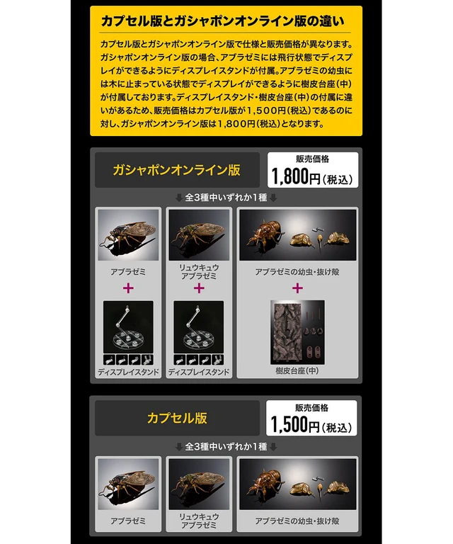 Alt view image 4 of 5 - Japan Ikimono Dazukan Advance Semi 02: Large Brown Cicada Single