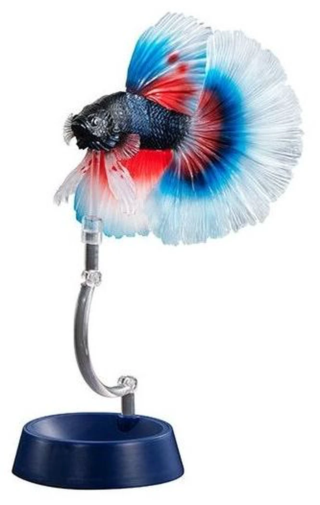 Main image of Ikimono Daizukan Advance Betta Full Moon Blue & Red