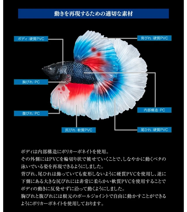 Alt view image 5 of 6 - Ikimono Daizukan Advance Betta Full Moon Blue & Red