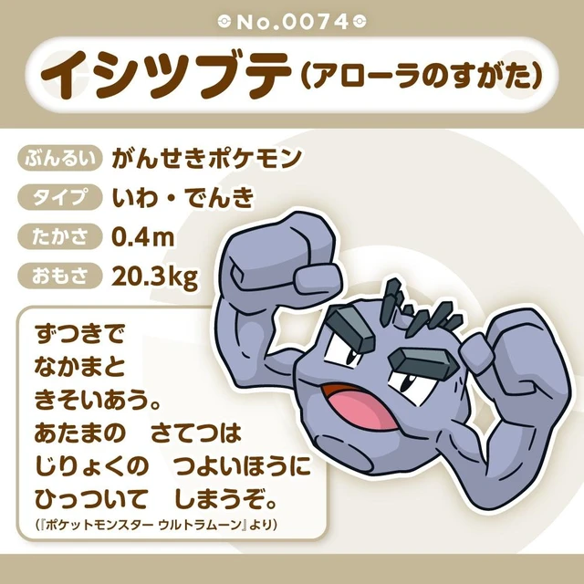 Alt view image 5 of 5 - Japan Pokémon fit Plush: Alolan Geodude