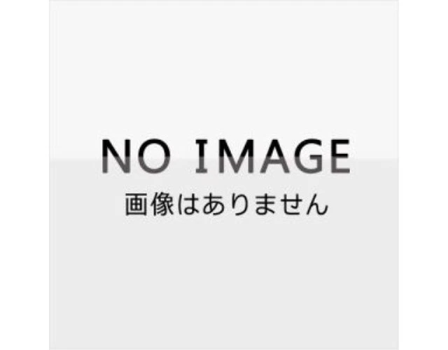 Alt view image 2 of 2 - Japan UDF Peanuts Charlie Brown & 1950's Snoopy Figure